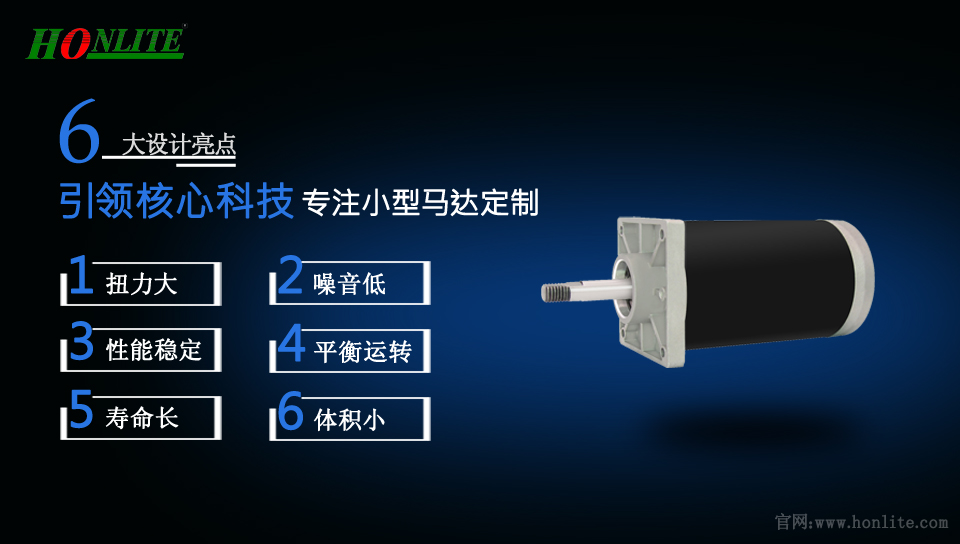 垃圾處理器直流電機